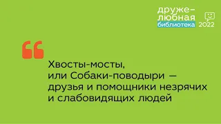 Хвосты-мосты, или Собаки-поводыри — друзья и помощники незрячих и слабовидящих людей