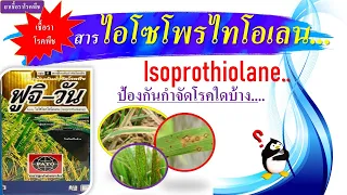 สารไอโซโพรไทโอเลน (Isoprothiolane)..กำจัดเชื้อรา แบคทีเรียโรคพืช