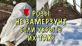 ХВАТИТ ТЕРЯТЬ РОЗЫ! Как ПРОСТО и НАДЁЖНО укрыть РОЗЫ НА ЗИМУ. ПОДРОБНАЯ ИНСТРУКЦИЯ