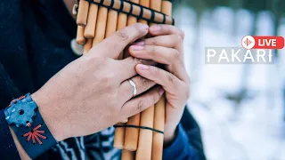 Pakari - Live Andean Music (Musica Andia)