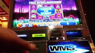 Desert Moon Slot Machine Bonus - 5x Bet