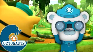 Octonauts - Une heure pour la semaine nationale de la faune et de la flore ! 🦎🐊