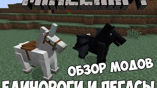 ЕДИНОРОГИ И ПЕГАСЫ - Обзор модов #2 (MineCraft)