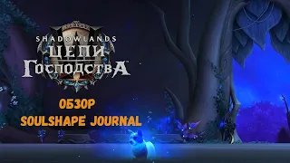 Обзор аддона «Soulshape Journal» - как собрать все облики души в World of Warcraft Shadowlands