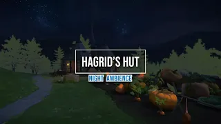 ⚡️ Harry Potter ASMR ⚡️ Hagrid's Hut (Night) - [HD Animation & Ambience]