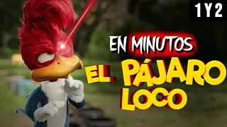 EL PAJERO LOCO: Toda la Saga | EN MINUTOS