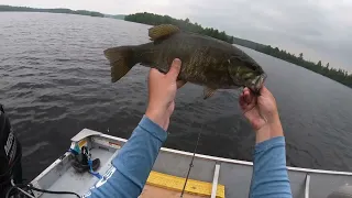 BWCA Fishing 2023 - Day 2 - Smallmouth Bass Fishing