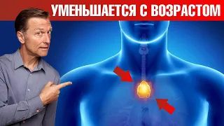 Тимус с возрастом уменьшается. Это убивает ваш иммунитет😲