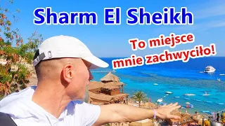 Sharm El Sheikh (EGIPT) - co warto zobaczyć w mieście (oraz Hotel IL Mercato)