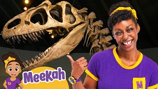 Meekah Learns About Dinosaurs in a Dinosaur Museum! | Meekah Full Episodes
