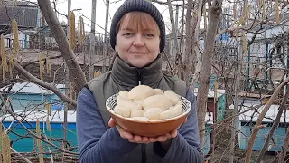 Steamed dumplings with poppy seeds | Вареники з маком на пару