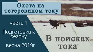 Охота на тетеревином току. Поиск тока