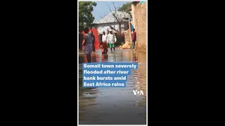 Somali town severely flooded after river bank bursts amid East Africa rains