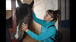 #Деркульский_конный_завод #horse #ukraine  Деркульский конный завод