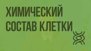 Химический состав клетки. Видеоурок по биологии 9 класс