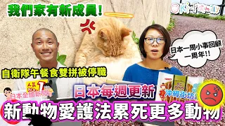 我們家有新成員! | 新動物愛護法累死更多動物｜日本熱到PK, #日本人去哪裏避暑?  | 自衛隊午餐食雙拼被停職 | 【#日本一周小事回顧一周年】 （認真偷雞版）中文字幕