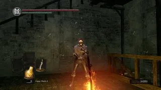 How to duplicate souls in Dark souls Remastered