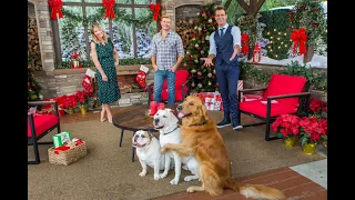 "USS Christmas" Star Trevor Donovan - Home & Family