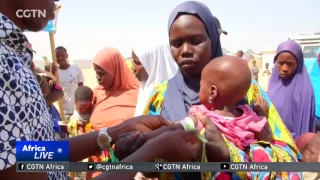 More than 20 million in need of humanitarian assistance in Lake Chad region