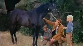 Daniel Boone S04E11 The Spanish Horse