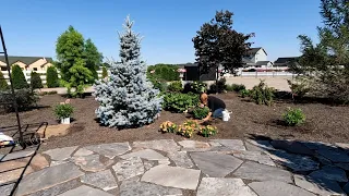 Planting Some Beautiful 2024 Shrubs & Picking Blackberries! 🌿💚🥰 // Garden Answer