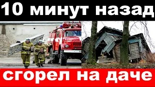 10 минут назад / сгорел на даче / российский режиссёр и музыкант