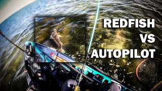 Corpus Christi Fishing | Redfish MAYHEM In Crystal Clear Water