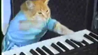 Play Tarzan off, Keyboard Cat