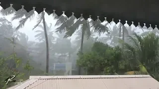 That One Rain Video