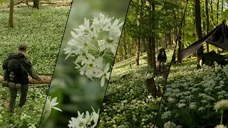 Wild Garlic Hammock Camping