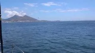 Shark in the Water, Cape Town, South Africa, January 2014