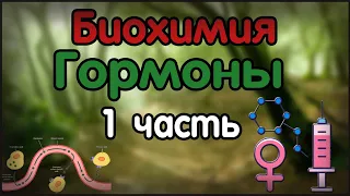 Биохимия. Лекция 24. Гормоны. 1 часть.