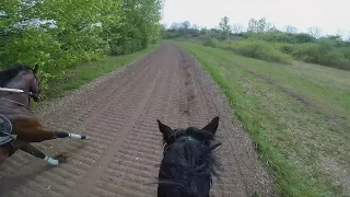 Gallop Sparing with FAST Speed average 55 Km/H. GOPRO 5