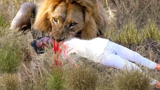 Lion Attack Man in Forest | Lion Attack Hunter | Lion Attack Stories Part 2