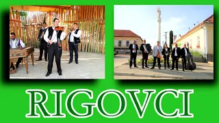 RIGOVCI - SAVANA