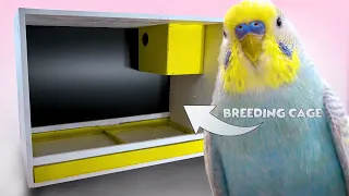 How to Make Budgie Breeding Cage