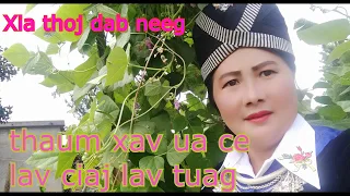 thaum xav ua ce lav ciaj lav tuag 23/5/2020