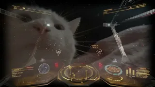 Thargoids bullying me when I just wanna listen to the new supercruise theme