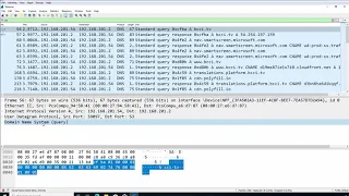 43. Capture DNS Query and Response using Wireshark