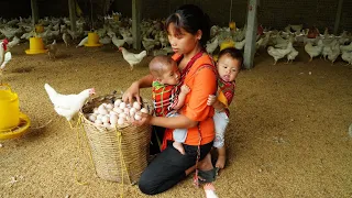 Single mom - Harvest chicken eggs goes to the market sell, Cooking, Daily life of a single mother