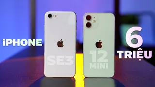 iPhone cũ 6 triệu nhỏ gọn, tốt nhất: Bất ngờ với 2 con máy này!