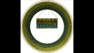 Simulations of proposed mechanisms of FtsZ-driven cell constriction