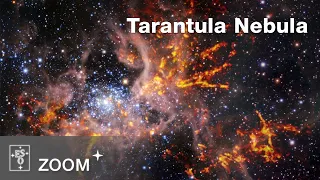 Zooming-in on the Tarantula Nebula with radio wavelengths