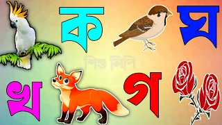 ক খ গ ঘ ঙ বাংলা বর্ণমালা শিক্ষা | ক'য় কাকাতুয়া 🕊️ | বাংলা ব্যঞ্জনবর্ণ | Bangla Alphabet | শিশুলিপি