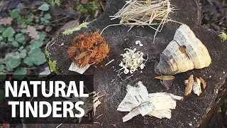 10 Ways to Start a Campfire (Natural Materials)