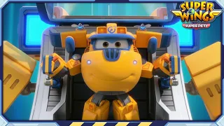 [SUPERWINGS5 Compilation] Donnie! 1 | Super Pets | Superwings Full Episodes | Super Wings