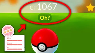 😮 Highest CP 100iv Ditto finally.....