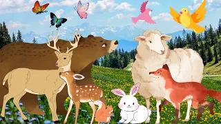 Learn animal sounds - Cow, bear, goat, deer, rabbit - Familiar animals