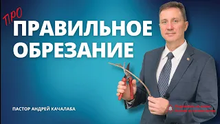 Про правильное обрезание