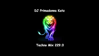 Techno Mix 229.0